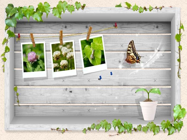 春天主题相册模板