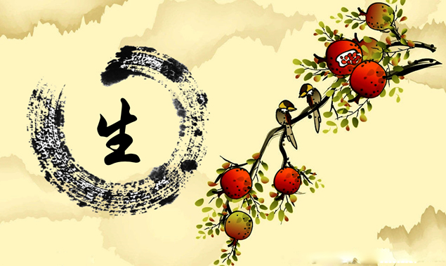 石榴树枝头的鸟儿——简洁中国风PPT模板2