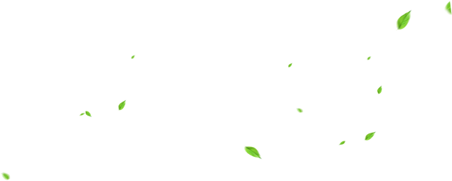 飘落的绿叶 桃花 竹叶高清免抠图片素材（7张）