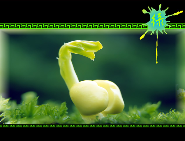 动态键盘创意环保主题ppt模板