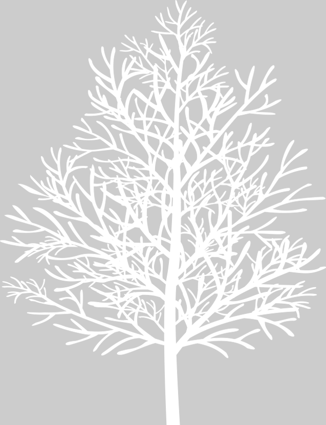 白色雪树免扣png图片