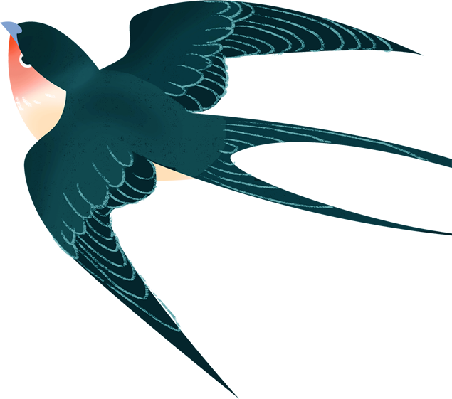 春天元素免抠图打包下载（10张）