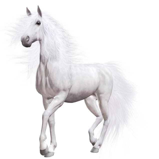 骏马奔腾免抠PNG图片（5张）