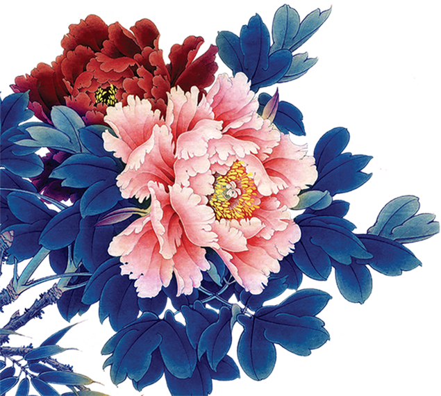 背景透明水彩牡丹花png图片