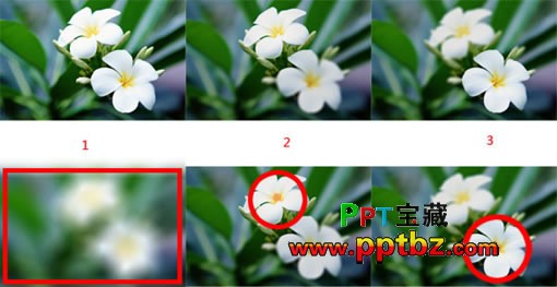 在ppt中运用圈圈的道理