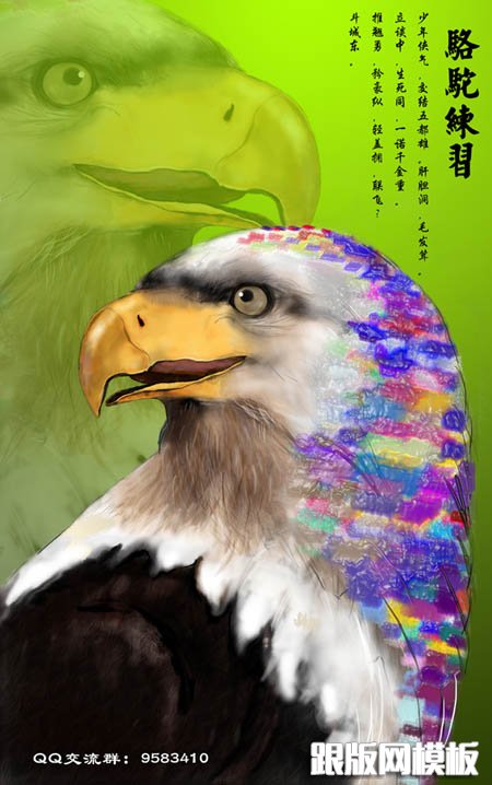 PS鼠绘一只彩色羽毛的鹰