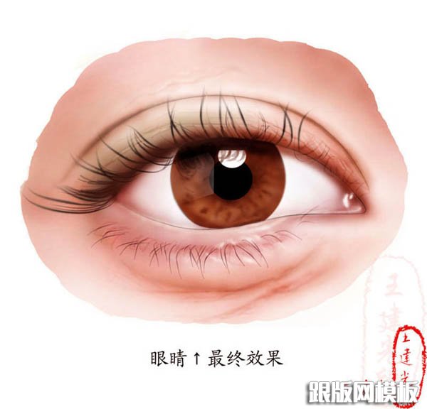 PS鼠绘逼真的人物眼睛