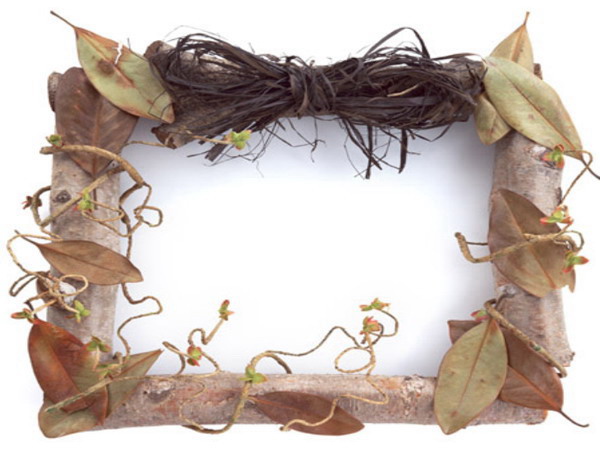 树藤相框PPT背景花边模板