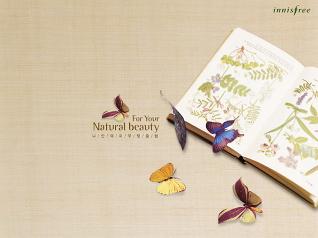 古典蝴蝶背景PPT模板下载