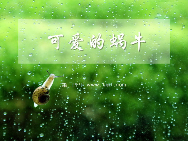 可爱蜗牛动物PPT模板下载