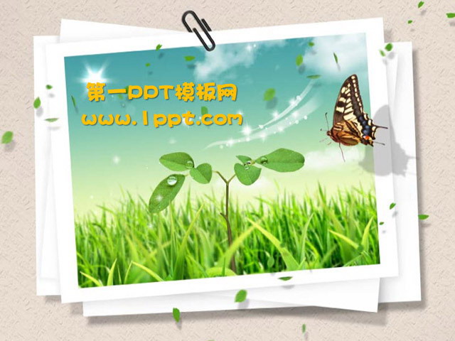 蝴蝶绿草幻灯片背景模板