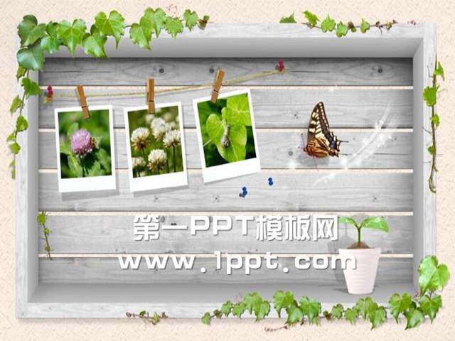 藤蔓蝴蝶PPT背景图片下载