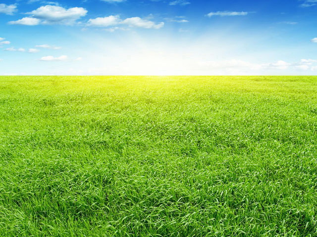 精美的草原PowerPoint背景图片