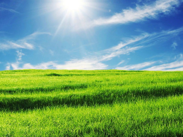 草原风情PowerPoint背景图片