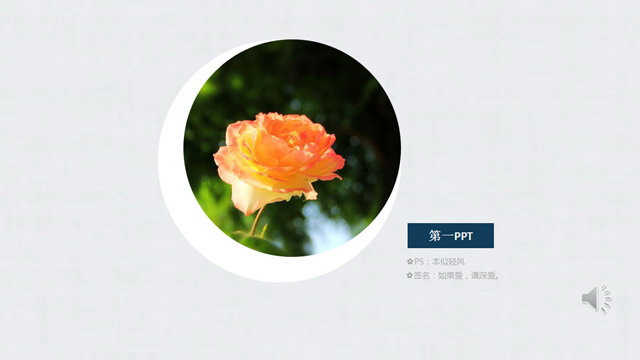 带背景音乐的花儿动态植物背景PPT模板