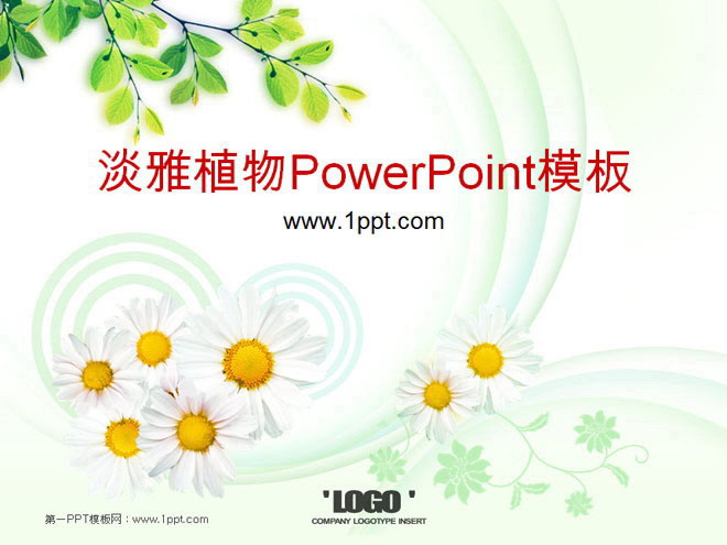 淡雅菊花茶树背景植物PowerPoint模板下载