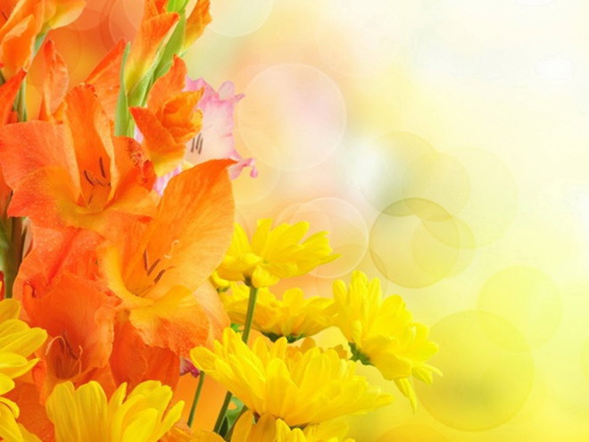橙色温馨鲜花幻灯片背景图片下载