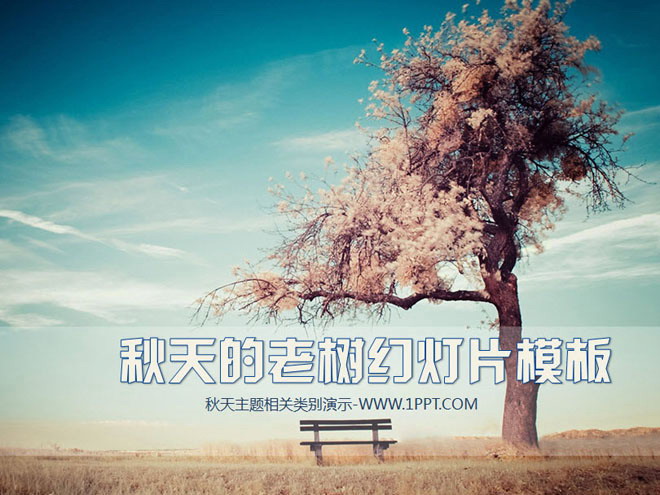 秋天草原老树背景PowerPoint模板下载
