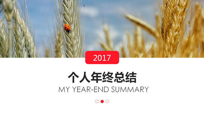 麦穗背景年终总结PPT模板下载