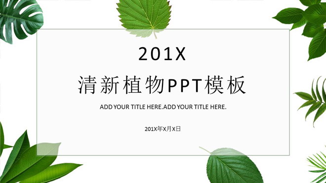 清新绿色植物叶子背景PPT模板免费下载