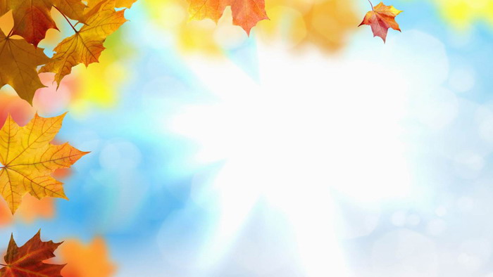 枫叶幻灯片背景图片
